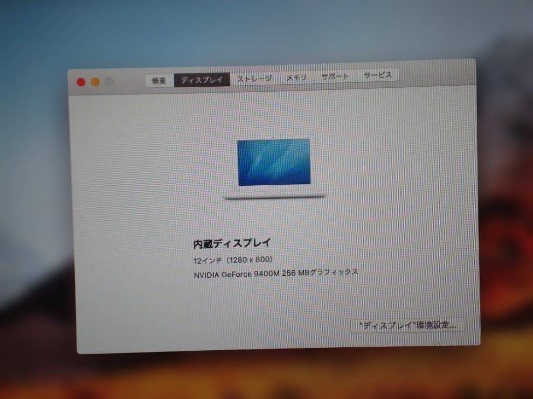 Apple MacBook (13-inch, Late 2009) 本体