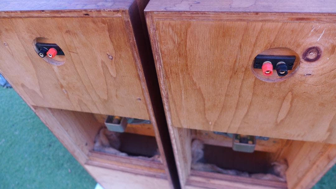 レア　SABA　サバ　Permadyn　19-200　+　フロントホーン　ペア