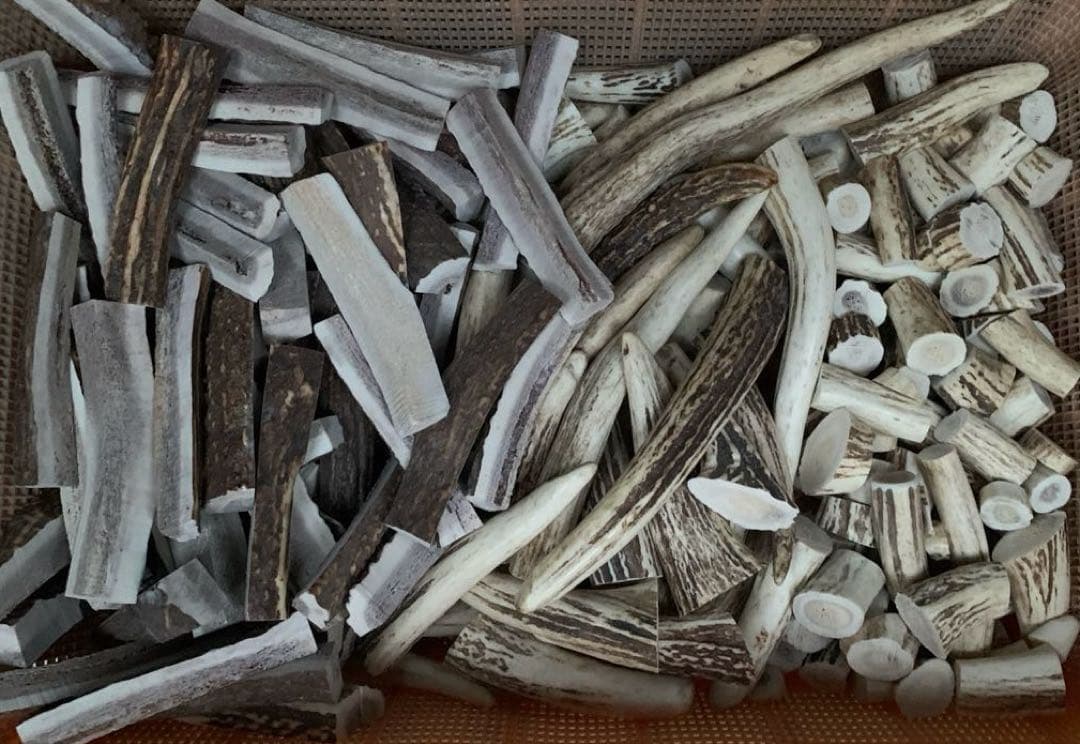 No.2173『鹿角加工材22.5kgセット』鹿の角　エゾ鹿　鹿角　蝦夷鹿