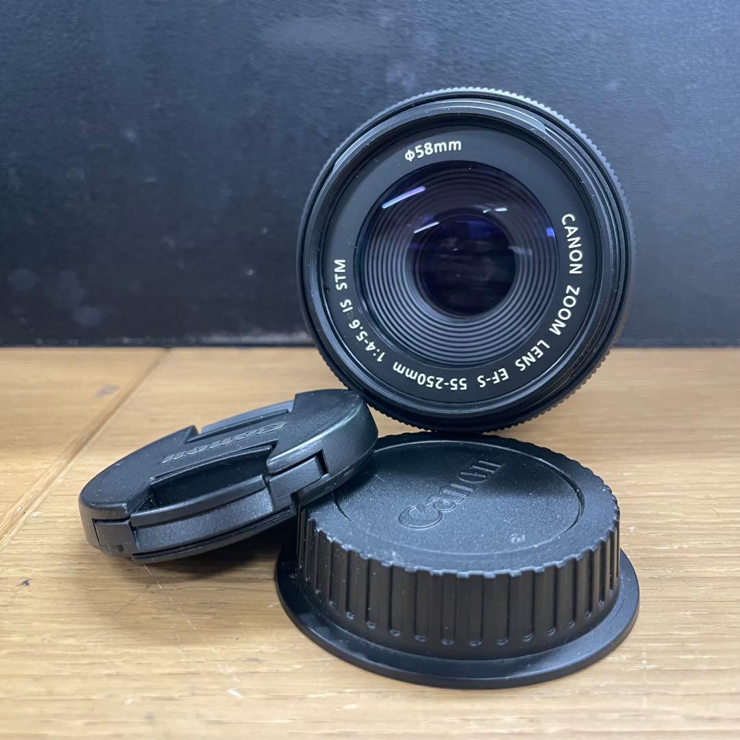 動作品 Canon EF-S 55-250mm F4-5.6 IS STM