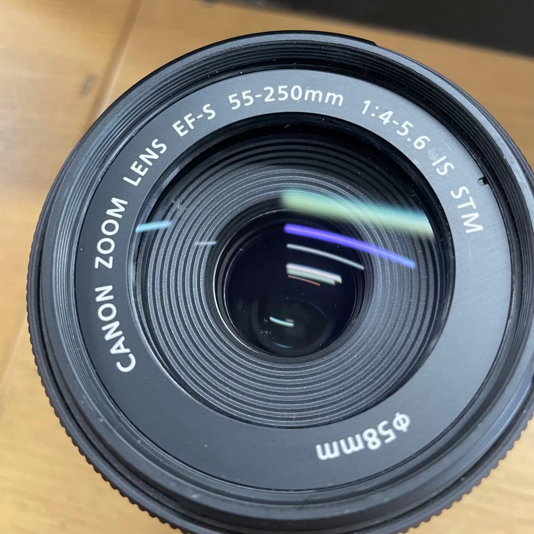 動作品 Canon EF-S 55-250mm F4-5.6 IS STM