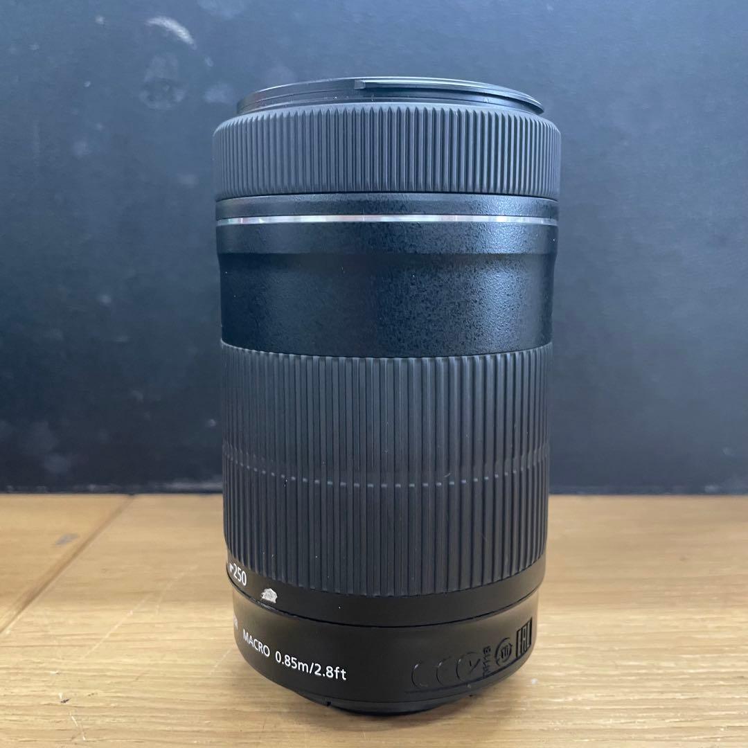 動作品 Canon EF-S 55-250mm F4-5.6 IS STM