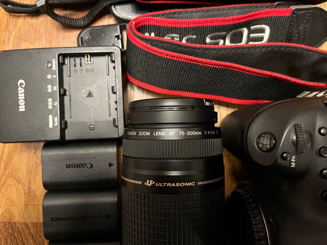 Canon EOS 5D Mark 4 + EF 75-300mm USMレンズ