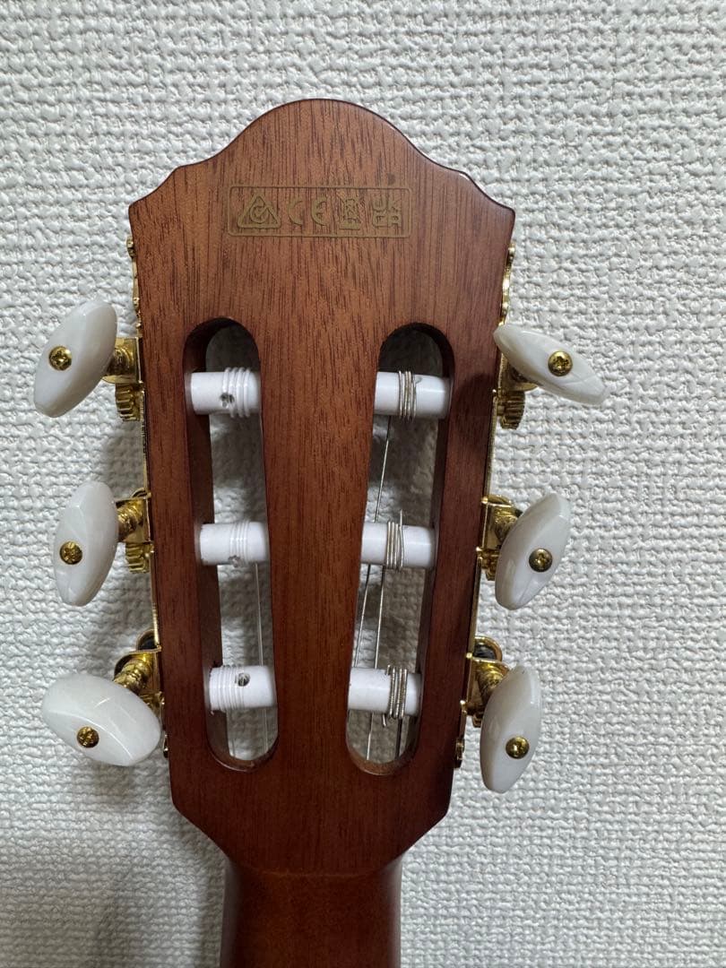 d*g様 Ibanez FRH10N BSF エレガットギター アイバニーズ　ケ