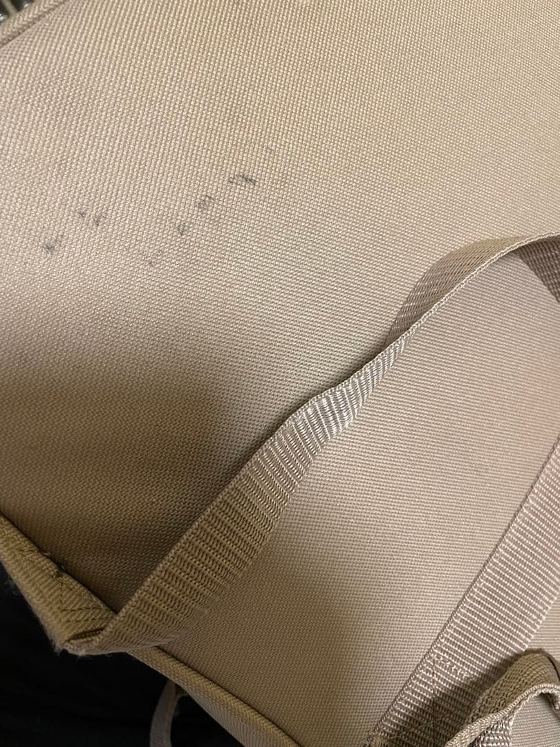 Taylor Swift シグネチャーアコースティックギター　最終値下げ