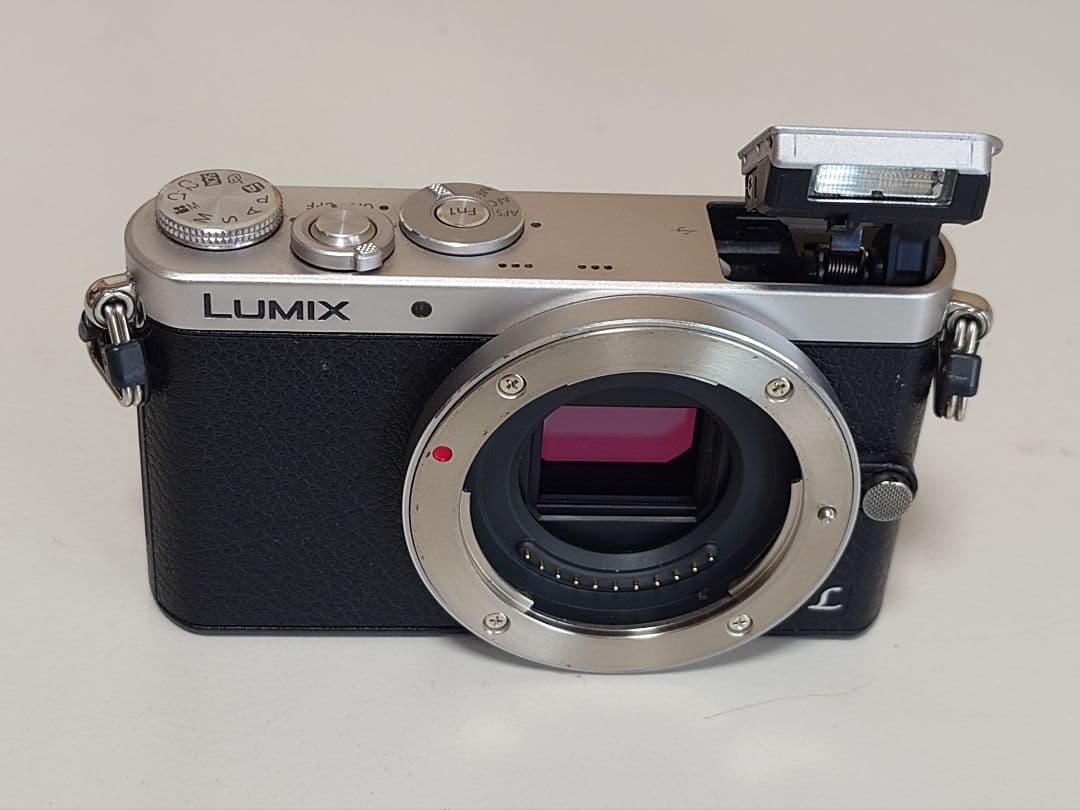 【極美品】LUMIX DMC-GM1ミラーレス一眼 カメラ本体