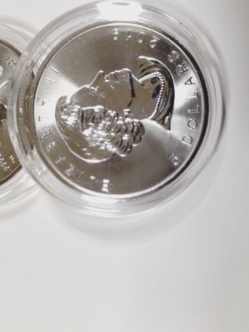 2019カナダメイプルリーフ銀貨1オンス 2枚セット　ケース付き