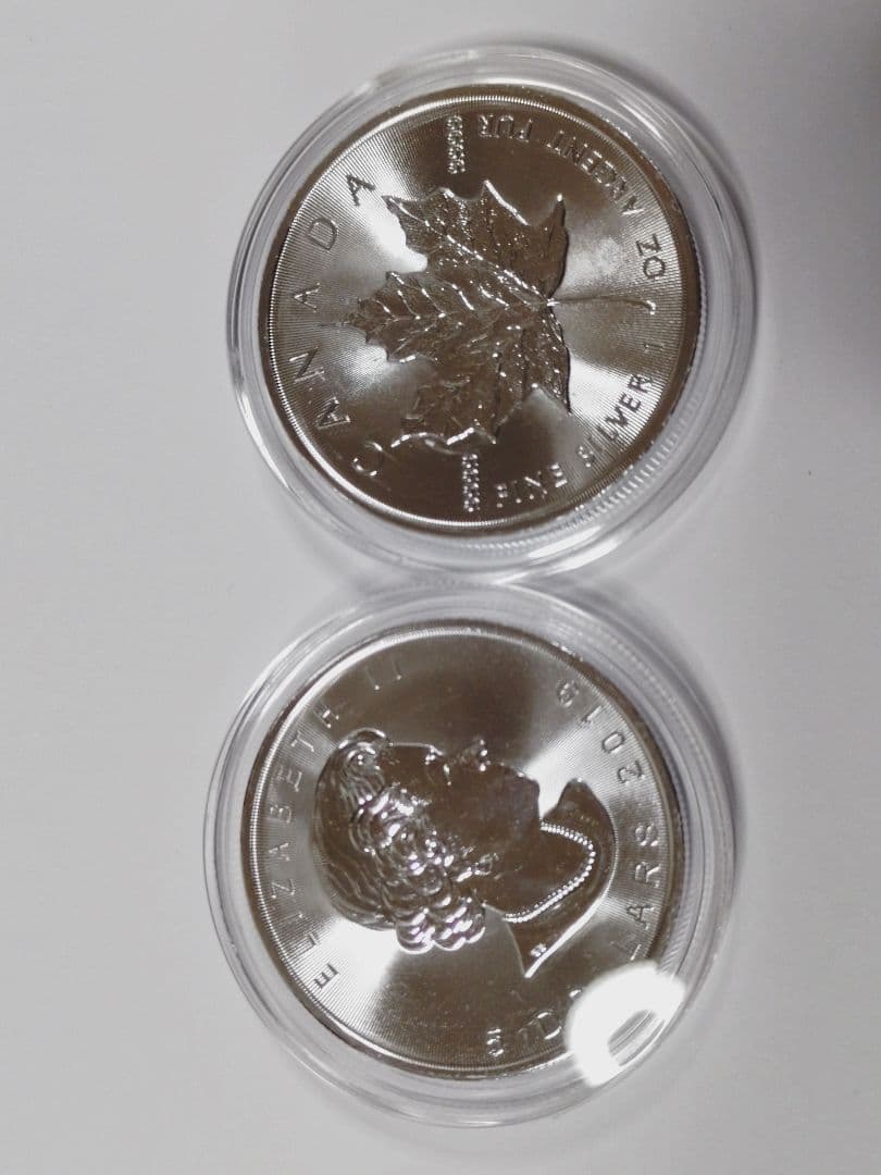 2019カナダメイプルリーフ銀貨1オンス 2枚セット　ケース付き