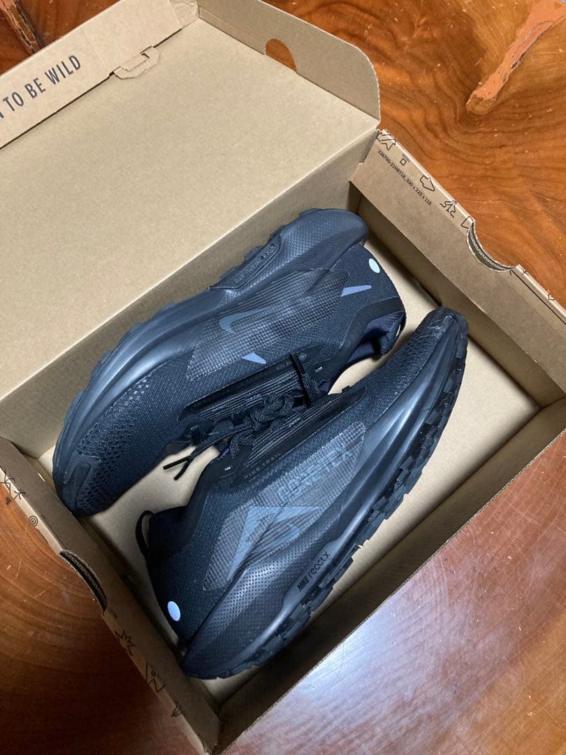 NIKE ペガサストレイル5 GTX 28㎝　US10 ゴアテックス