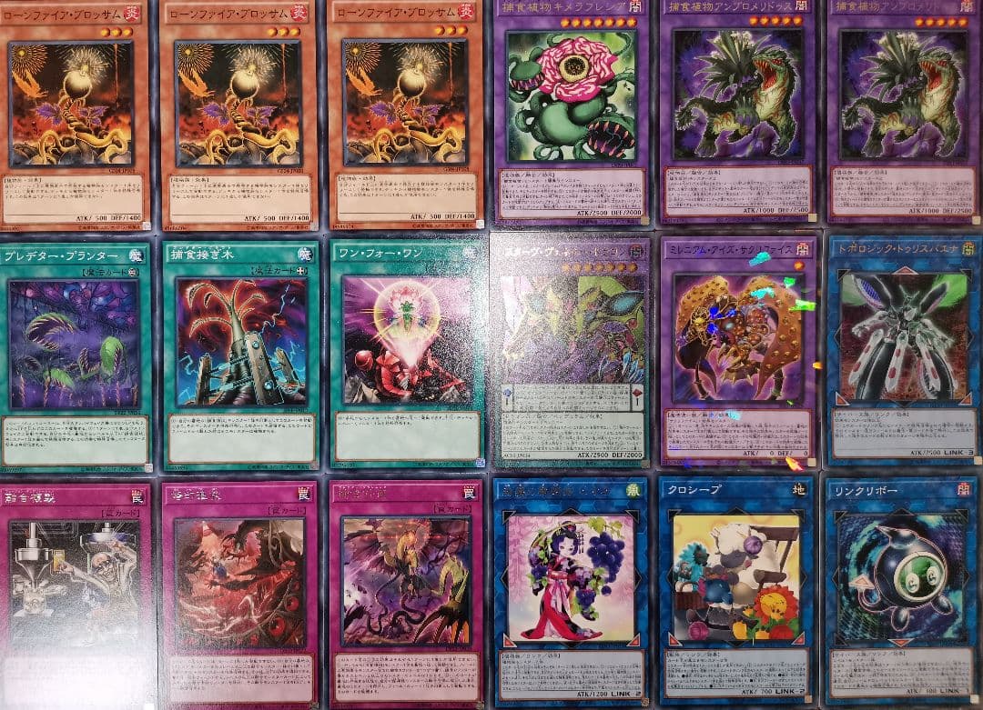 遊戯王デッキ　捕食植物デッキ　ガチ構築