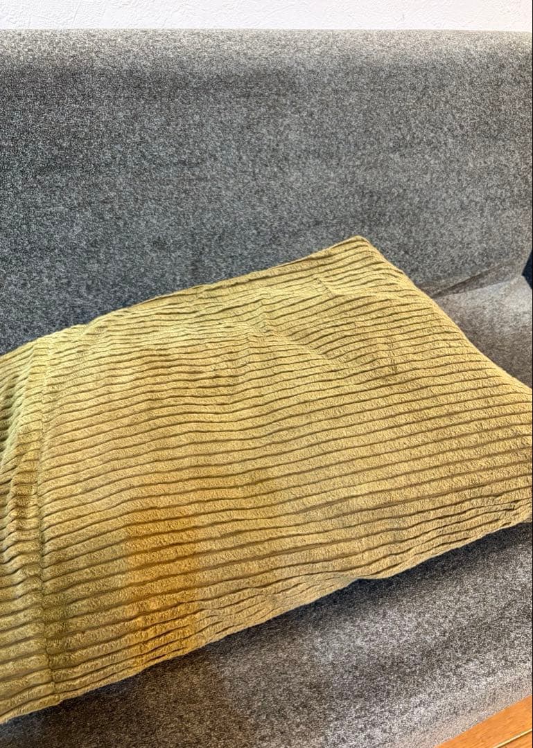 15日迄値下★替カバー付 Re:CENO リセノ2人掛けソファー WIRY