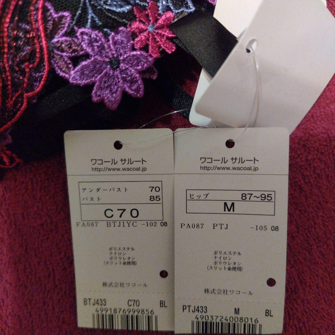 サルート 33g　C70Mです