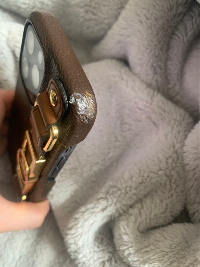 Louis Vuitton モノグラム レザーケース