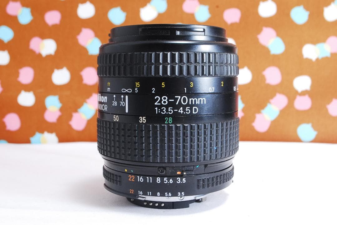 ✨届いてすぐ使える✨ハイアマチュア機✨Nikon D100 レンズセット