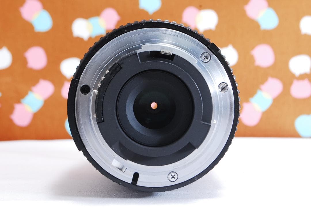 ✨届いてすぐ使える✨ハイアマチュア機✨Nikon D100 レンズセット