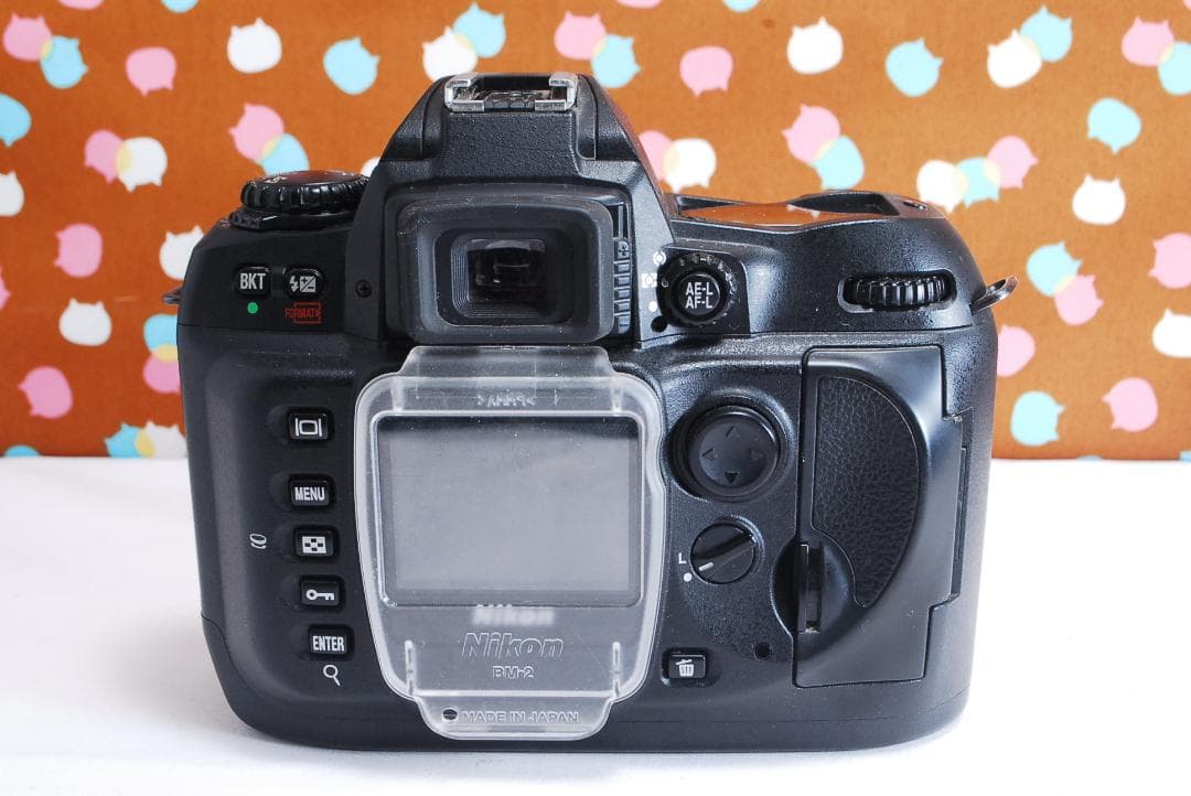 ✨届いてすぐ使える✨ハイアマチュア機✨Nikon D100 レンズセット