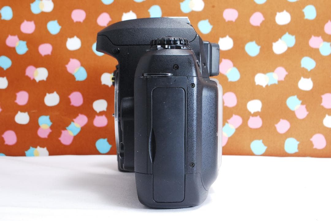 ✨届いてすぐ使える✨ハイアマチュア機✨Nikon D100 レンズセット