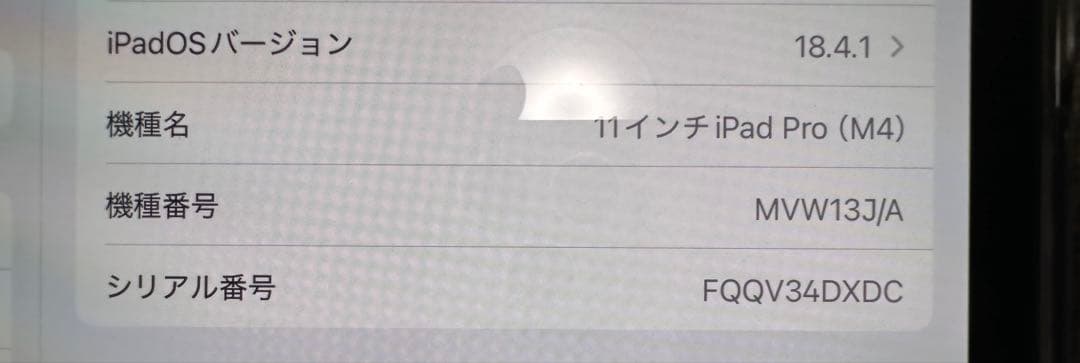 iPad Pro 11インチ 256GB M4 Wi-Fi+Cellular