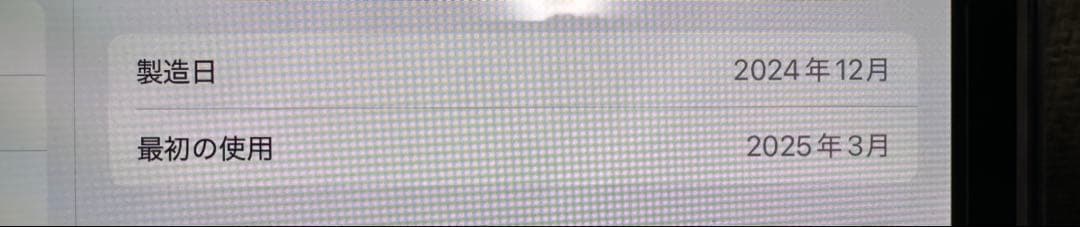 iPad Pro 11インチ 256GB M4 Wi-Fi+Cellular