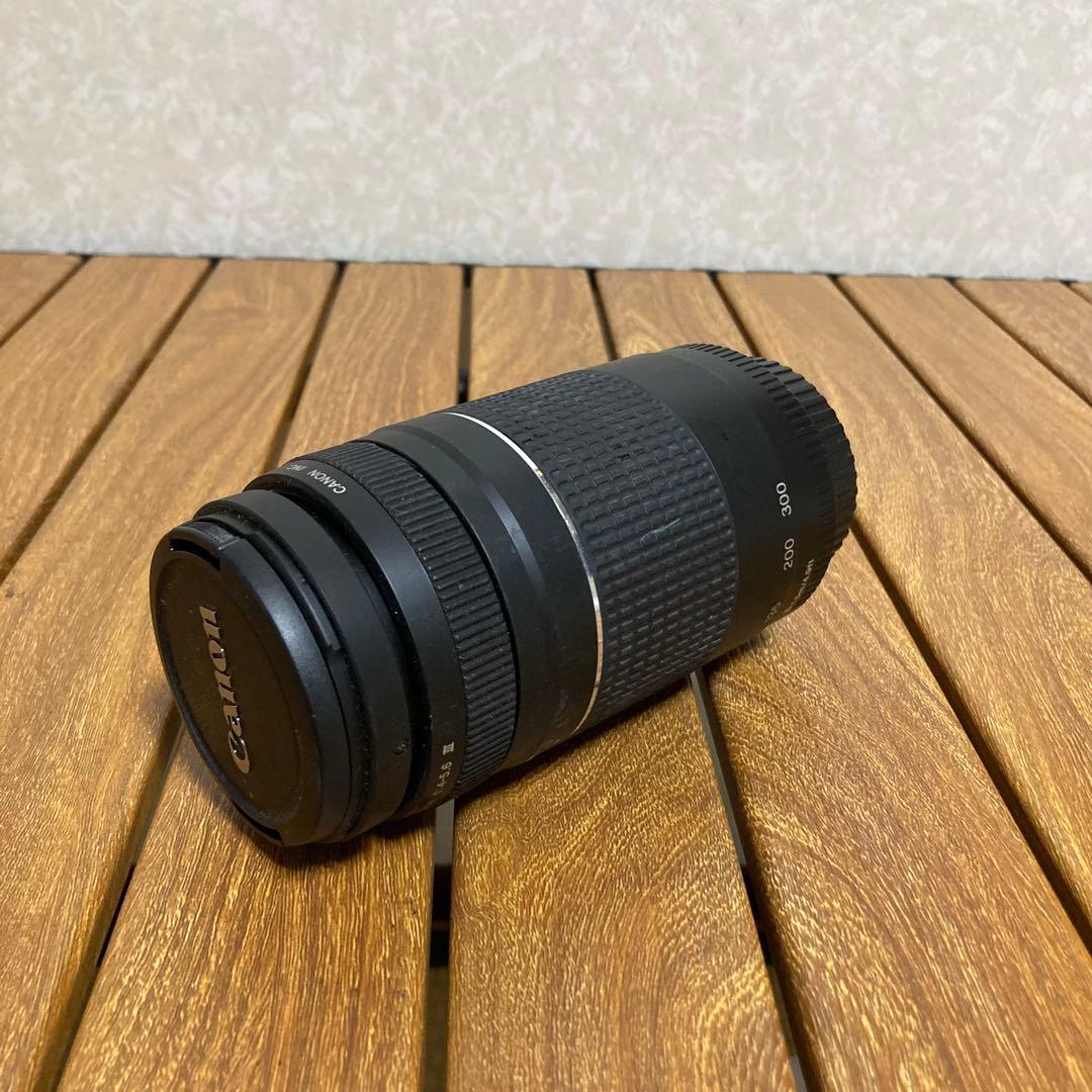 キャノン Canon EF75-300mm f/4-5.6 III ズームレンズ