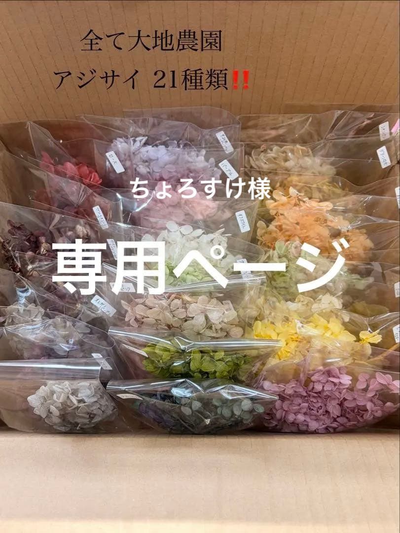 大地農園〜他花材、アレンジ雑貨まとめ売り☆赤字覚悟の出品です‼️ギリギリ値下げ