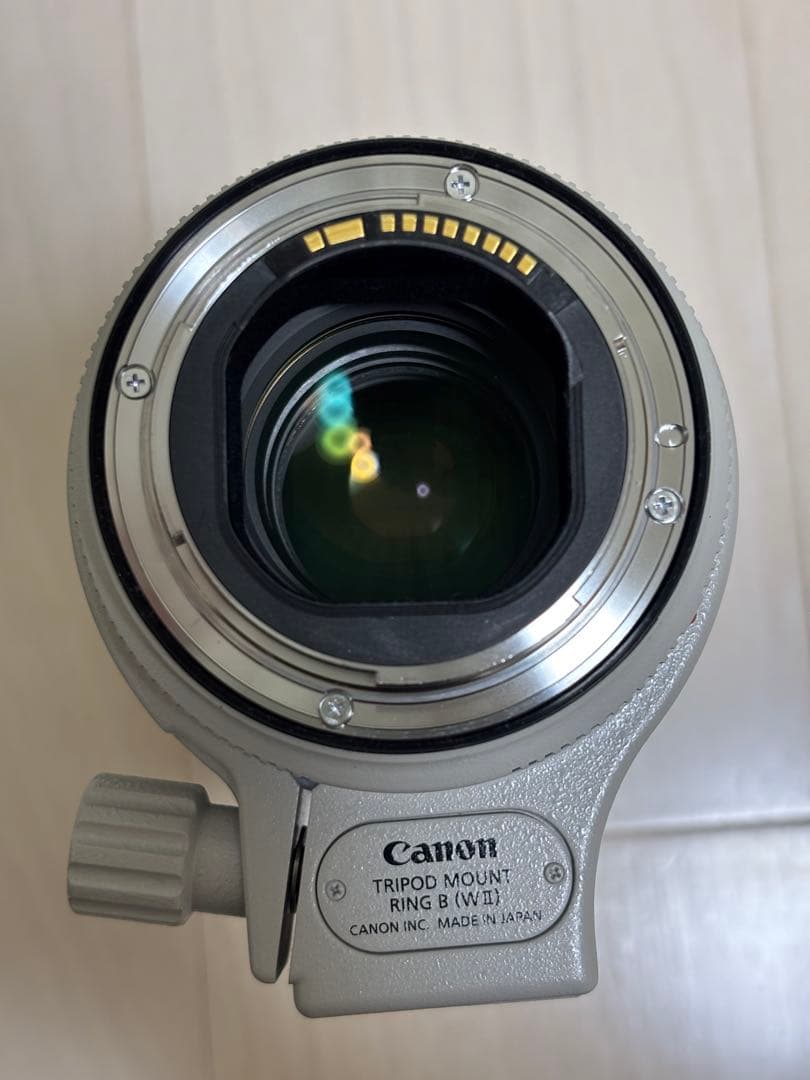 レンズ(ズーム) Canon EF70-200mm F2.8L IS III USM