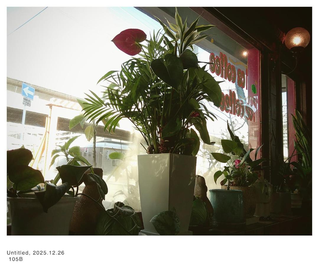 CS-V105-GR-JP [Camp Snap（キャンプスナップ） スクリーm