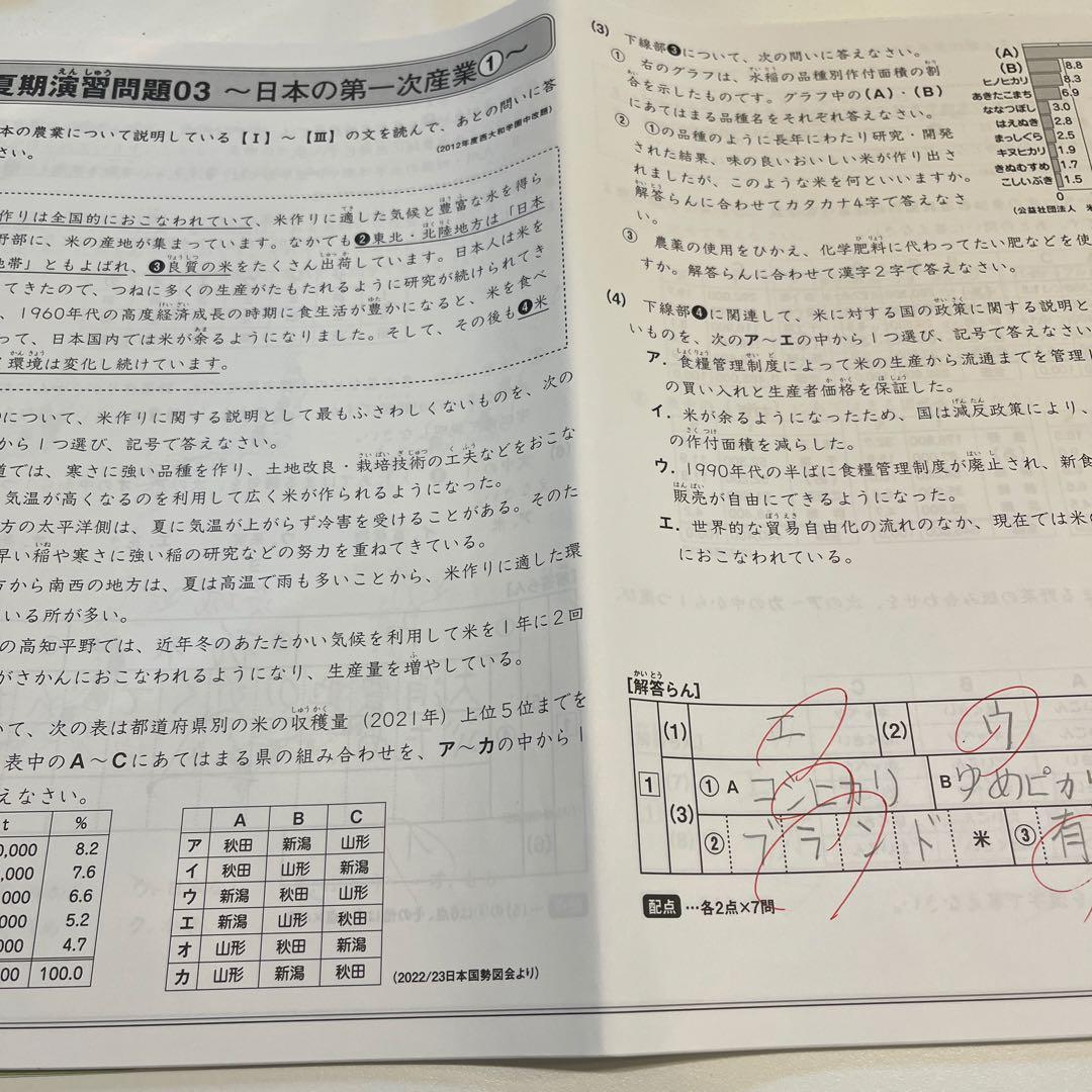 5年　ディリーサピックス　SAPIX 小5 社会　テキスト　2023年