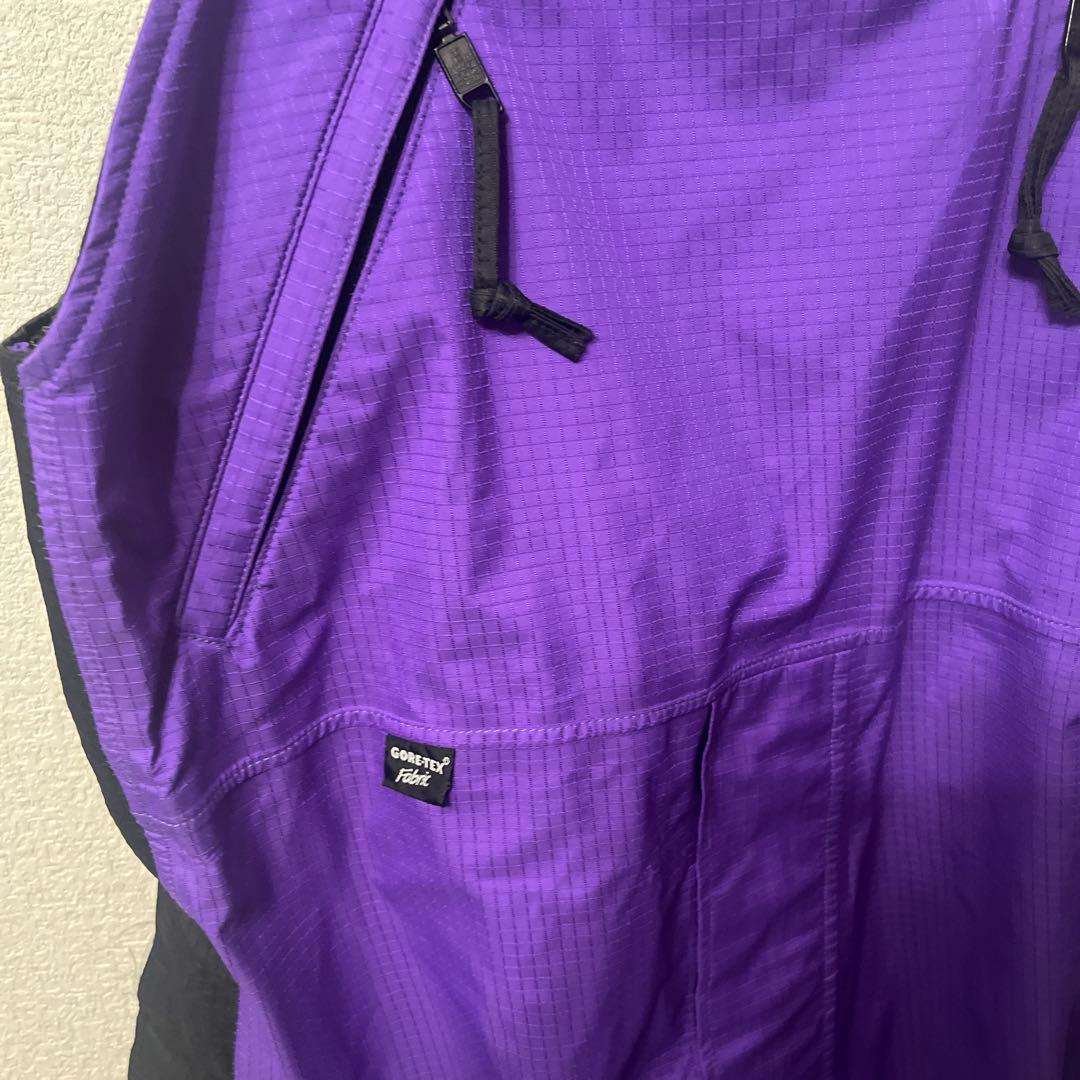 THE NORTH FACE ビブパンツ