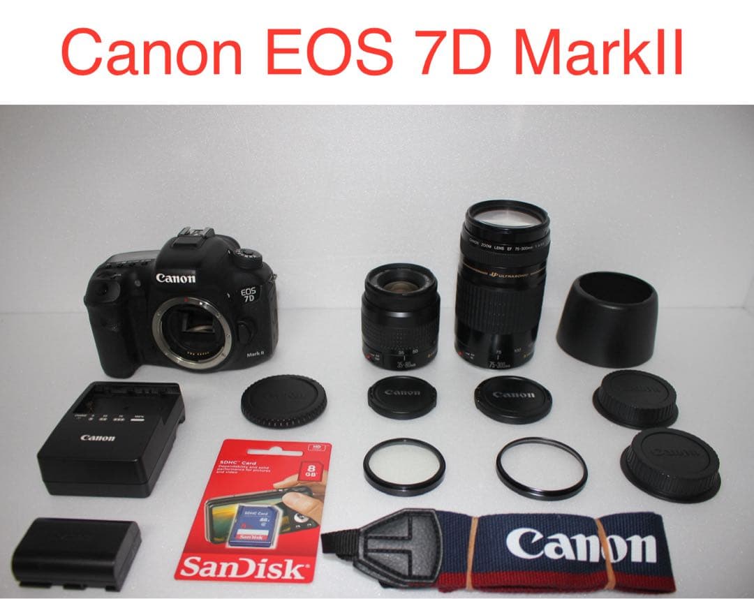 Canon EOS 7D MarkⅡ 標準&望遠ダブルレンズセット