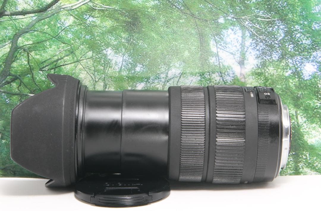 ❤手ぶれ補正する超便利な1本☆シグマ18-200mm OS Φ72 キヤノン用❤