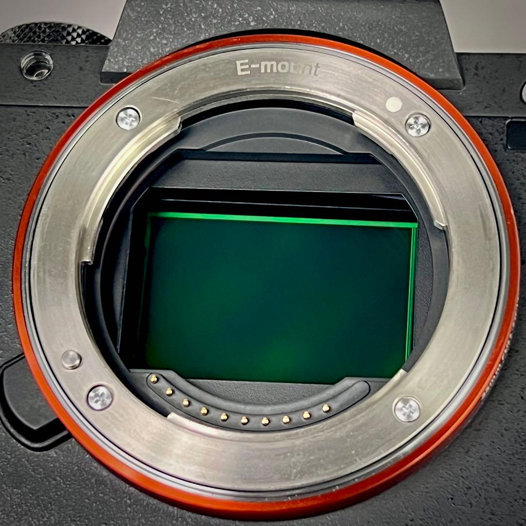 SONY α7Ⅱ ボディー