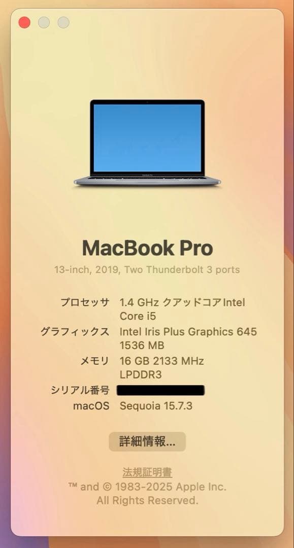 【即日発送】Macbook PRO 2019 スペースグレー