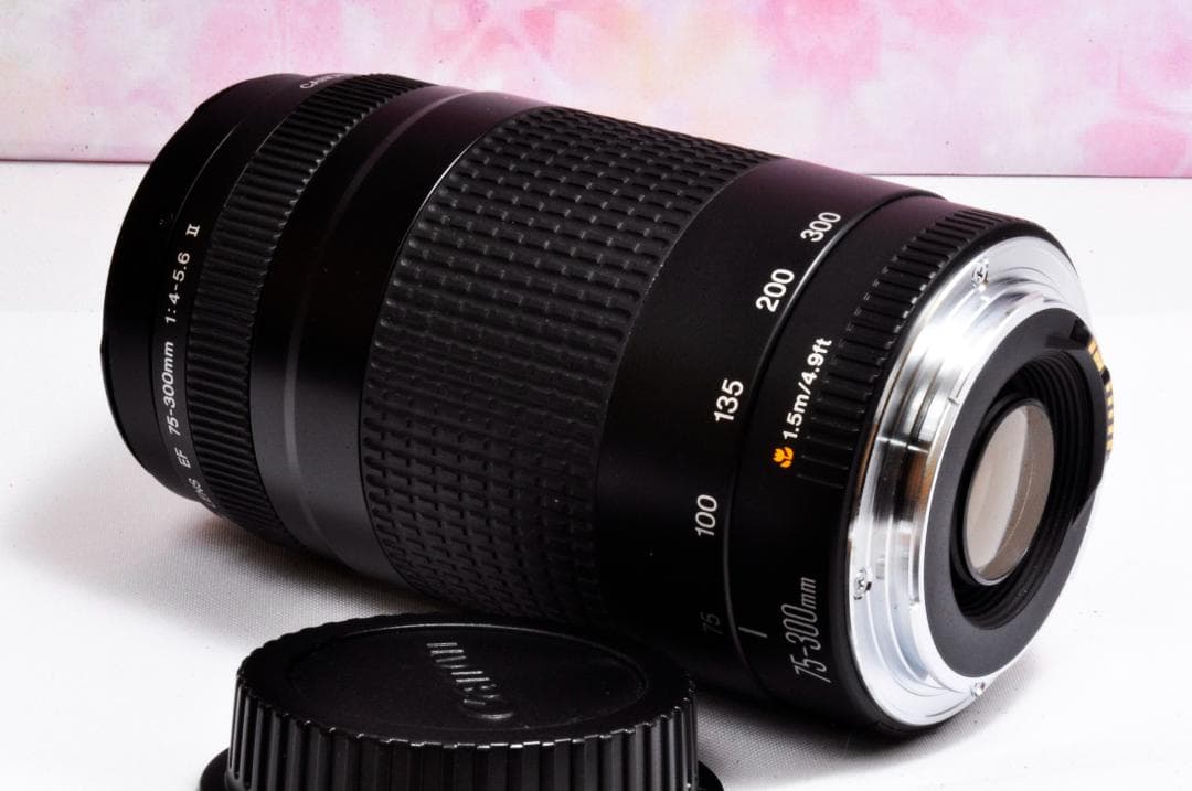 ブヒブヒ♡❤️300mm超望遠レンズ❤️ CANON EF 75-300mm