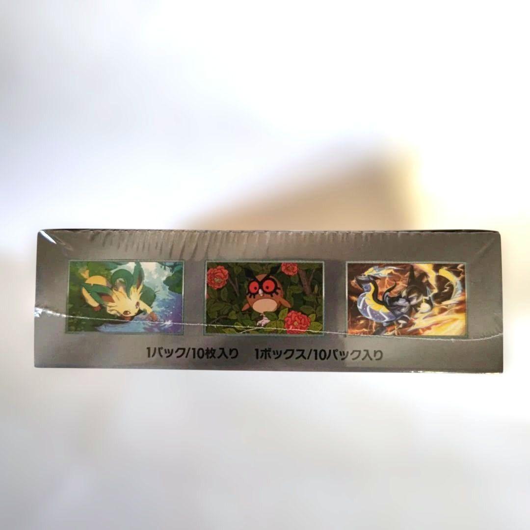 ポケモンカードゲーム テラスタルフェス exBOX 10パック入り