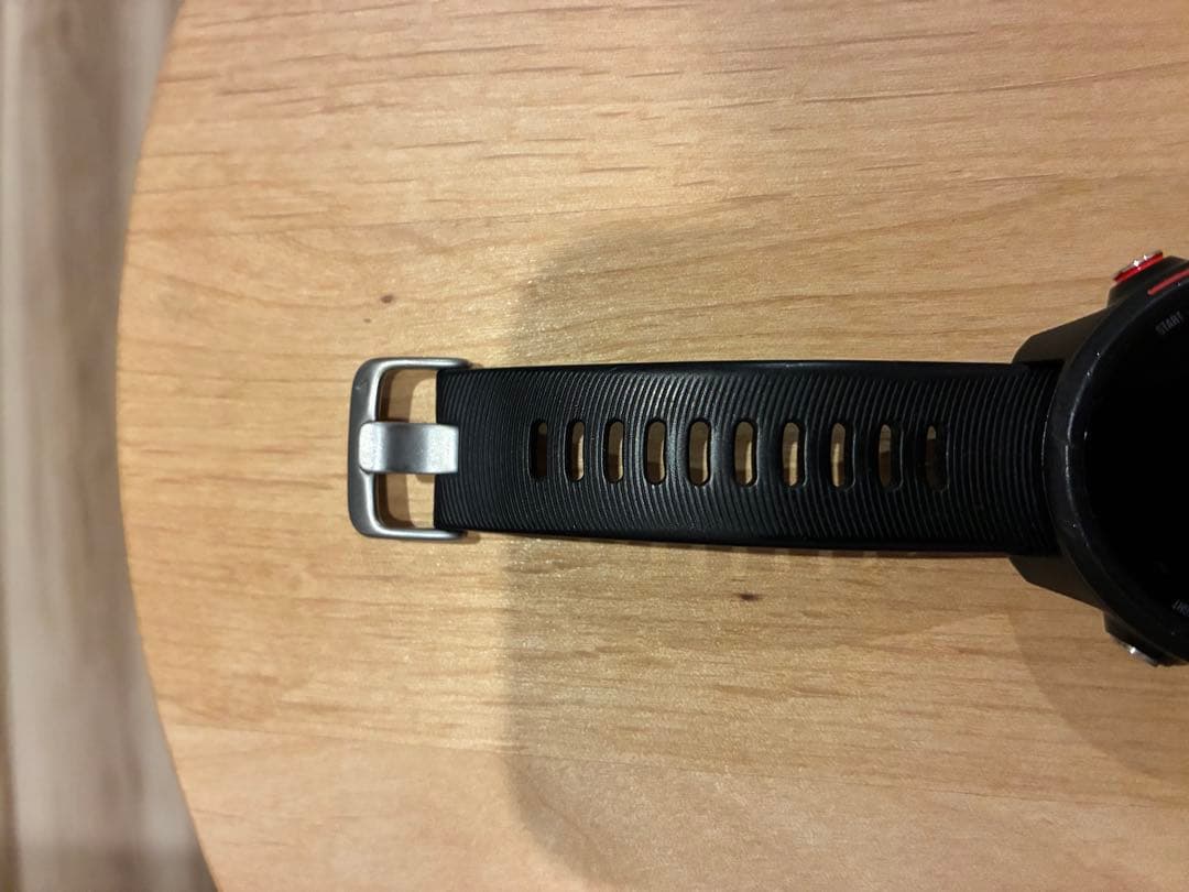 【さはら】GARMIN Foreathlete245music