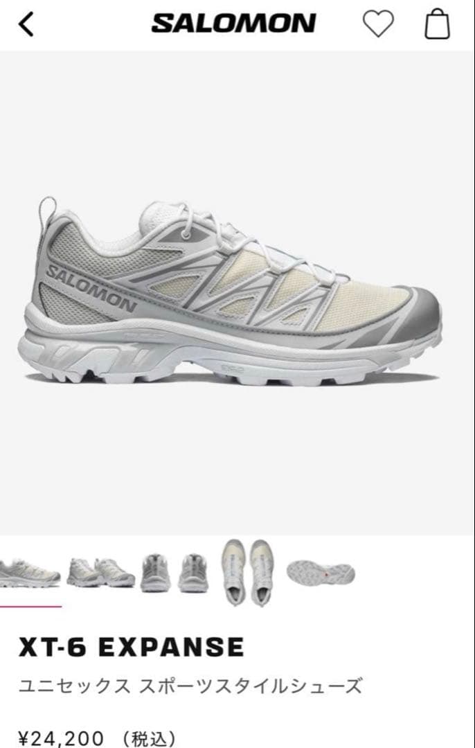 サロモン XT-6 EXPANSE ホワイト28cm