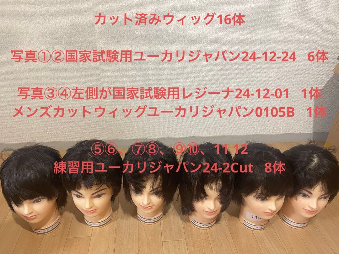 カットウィッグ16体　カット済み　使用済み　国家試験用　練習用　大量