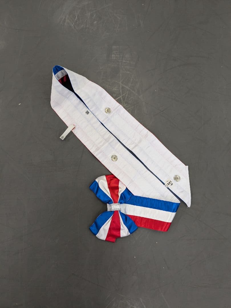 水色 バレエフリルチュチュ 4着セット