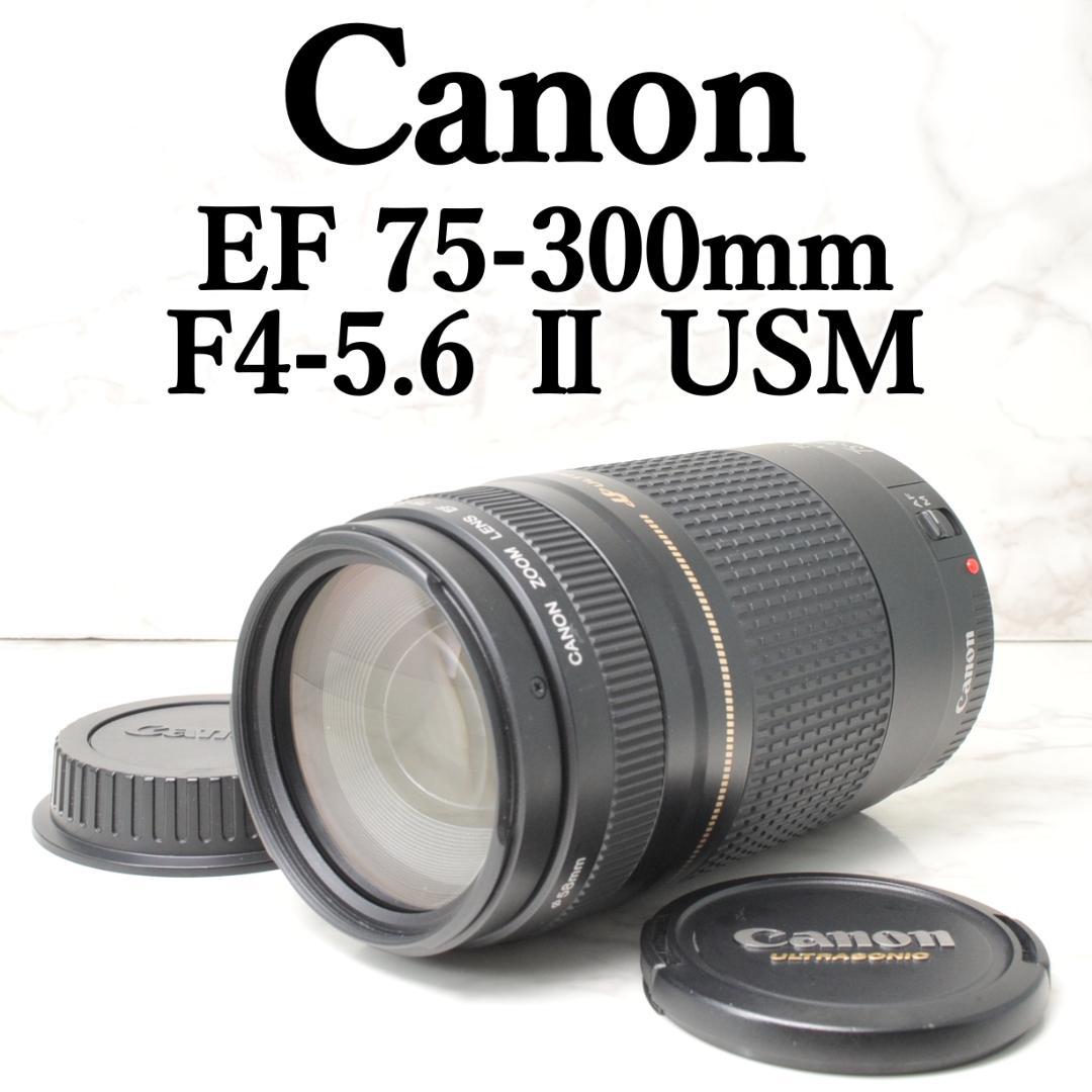 望遠レンズ⭐️Canon EF 75-300mm F4-5.6 Ⅱ USM