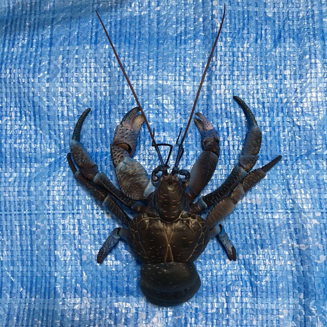 いきもの大図鑑プレミアム　ヤシガニ