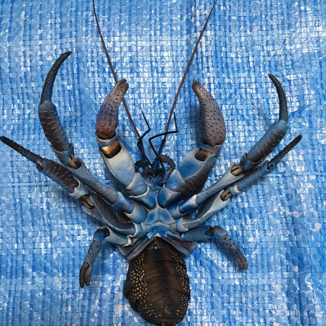 いきもの大図鑑プレミアム　ヤシガニ