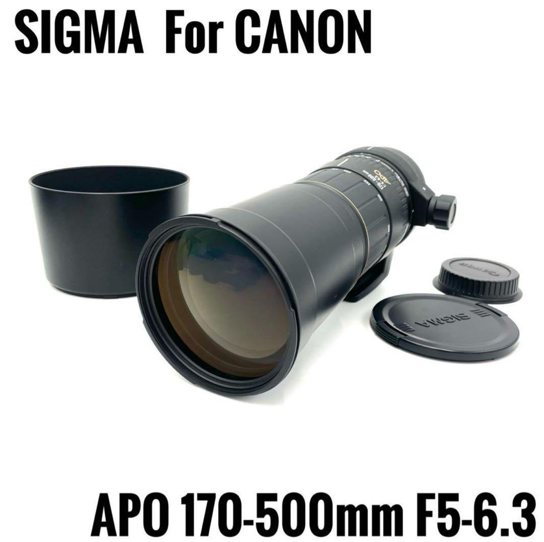 ☆値下げしました☆シグマ170-500mm F5-6.3 APO CANON用☆