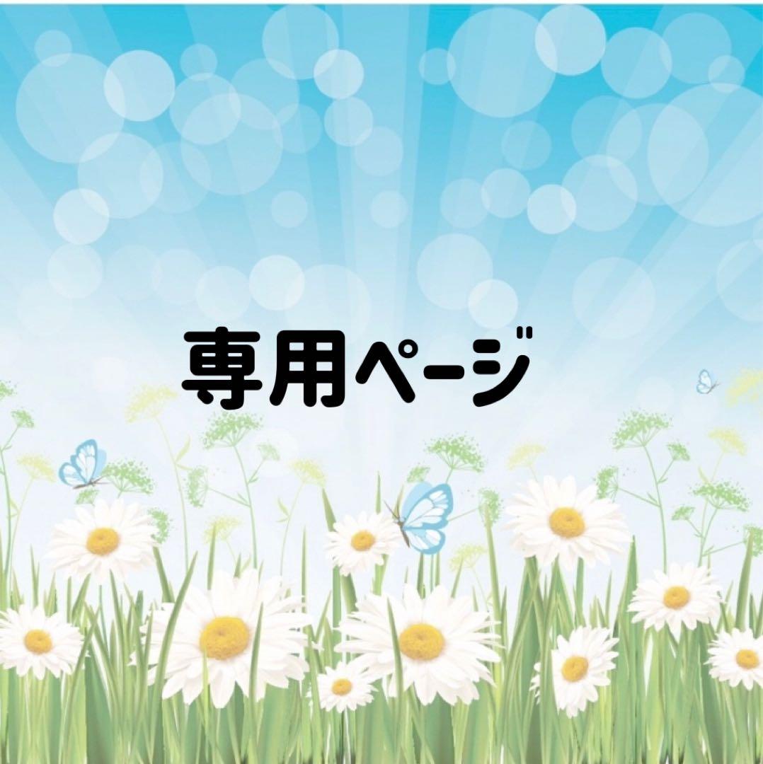 専用　写真2-7枚目