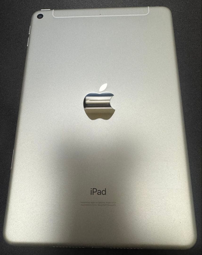 iPad本体 iPad mini5