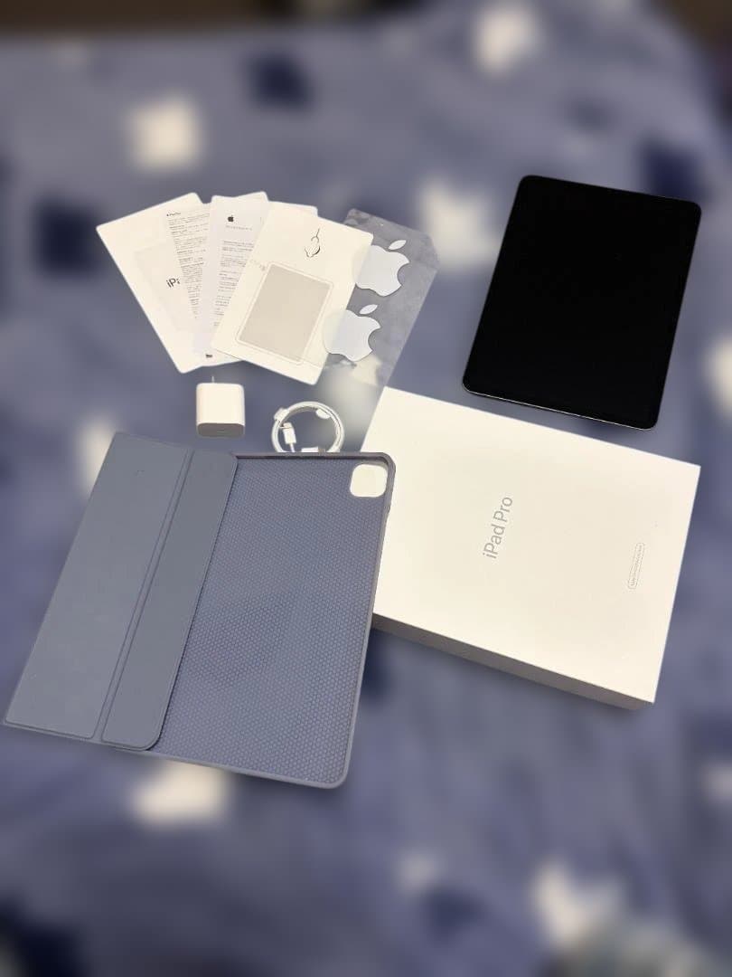 iPad Pro 11インチ 第一世代 256GB Cellular