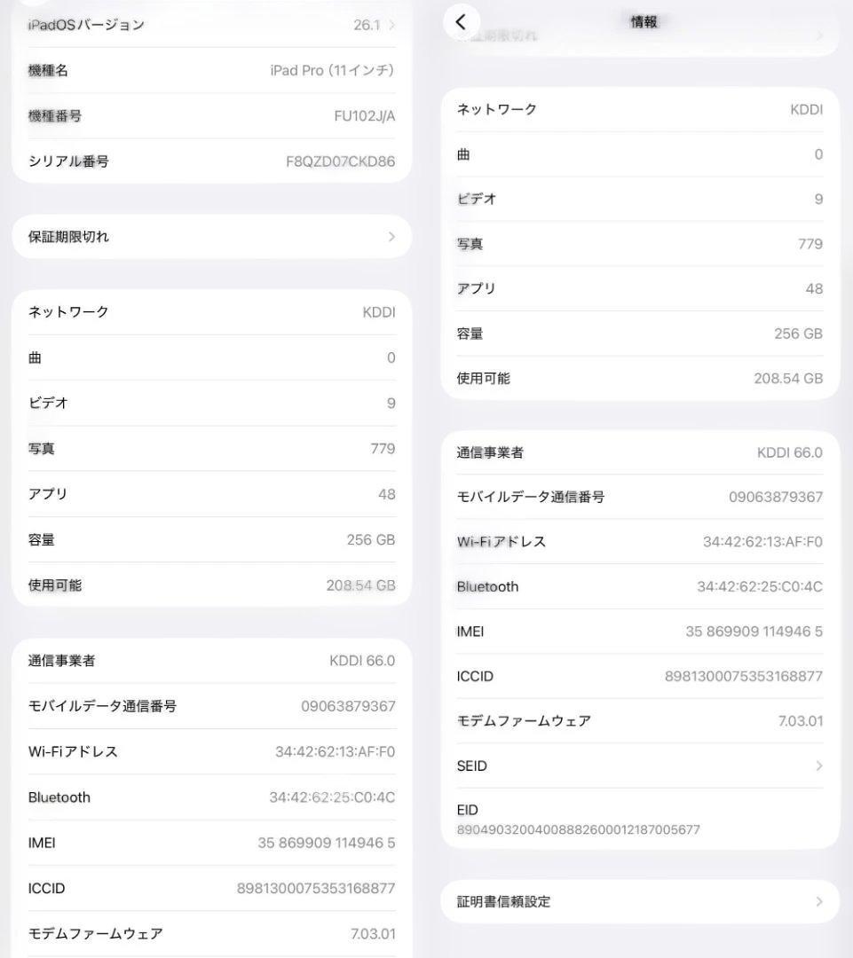 iPad Pro 11インチ 第一世代 256GB Cellular