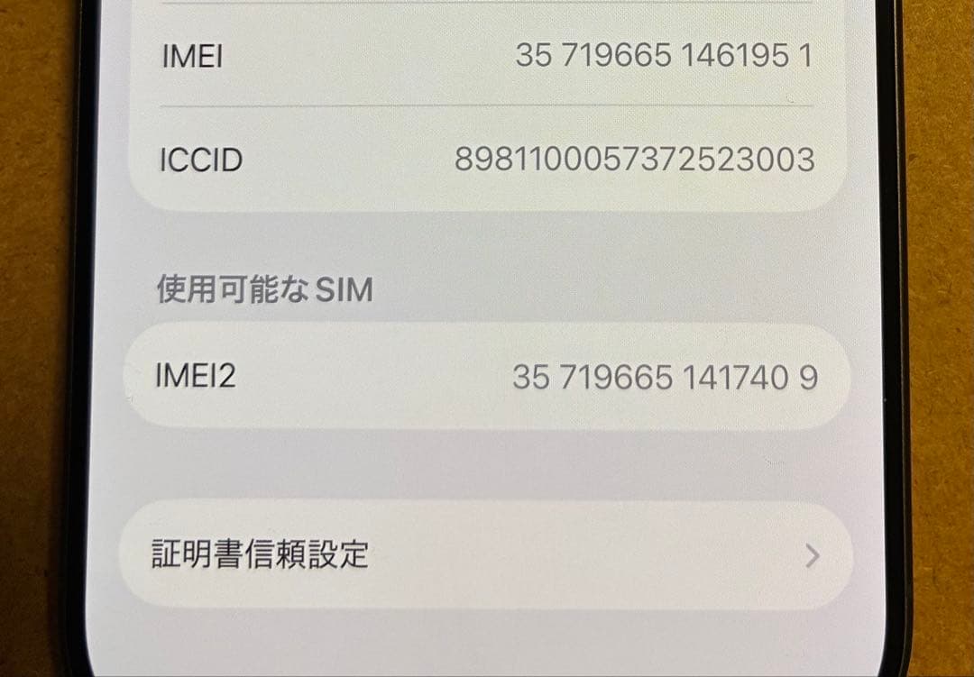 Apple iPhone 17 256G 本体　AppleCare2027年まで