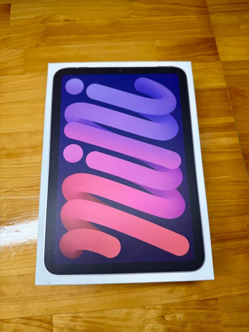 iPad mini 第７世代 256GB 国内版SIMフリー