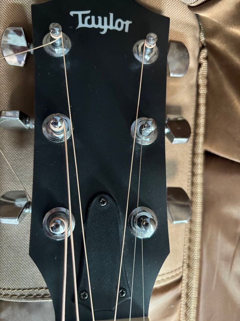 Taylor Academy 10 アコースティックギター